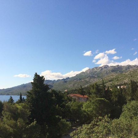 Apartments Villa Jusup Starigrad Paklenica Ngoại thất bức ảnh