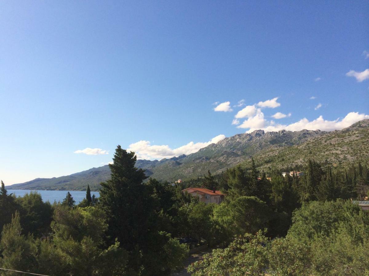 Apartments Villa Jusup Starigrad Paklenica Ngoại thất bức ảnh